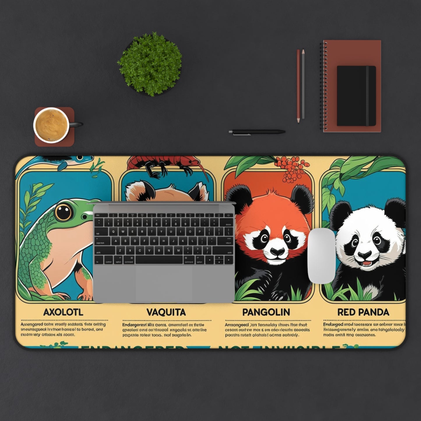 Back to School Inspirational Desk Mats