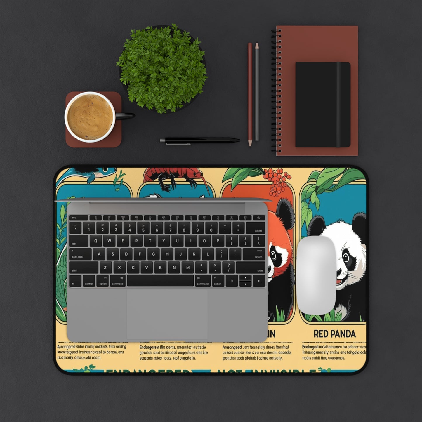 Back to School Inspirational Desk Mats