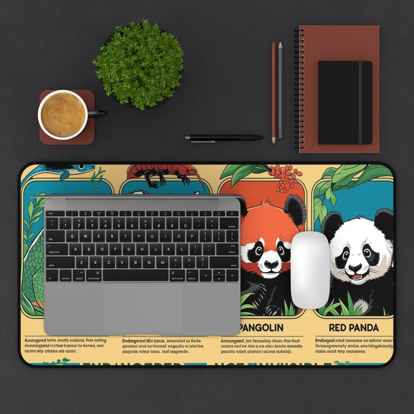 Back to School Inspirational Desk Mats