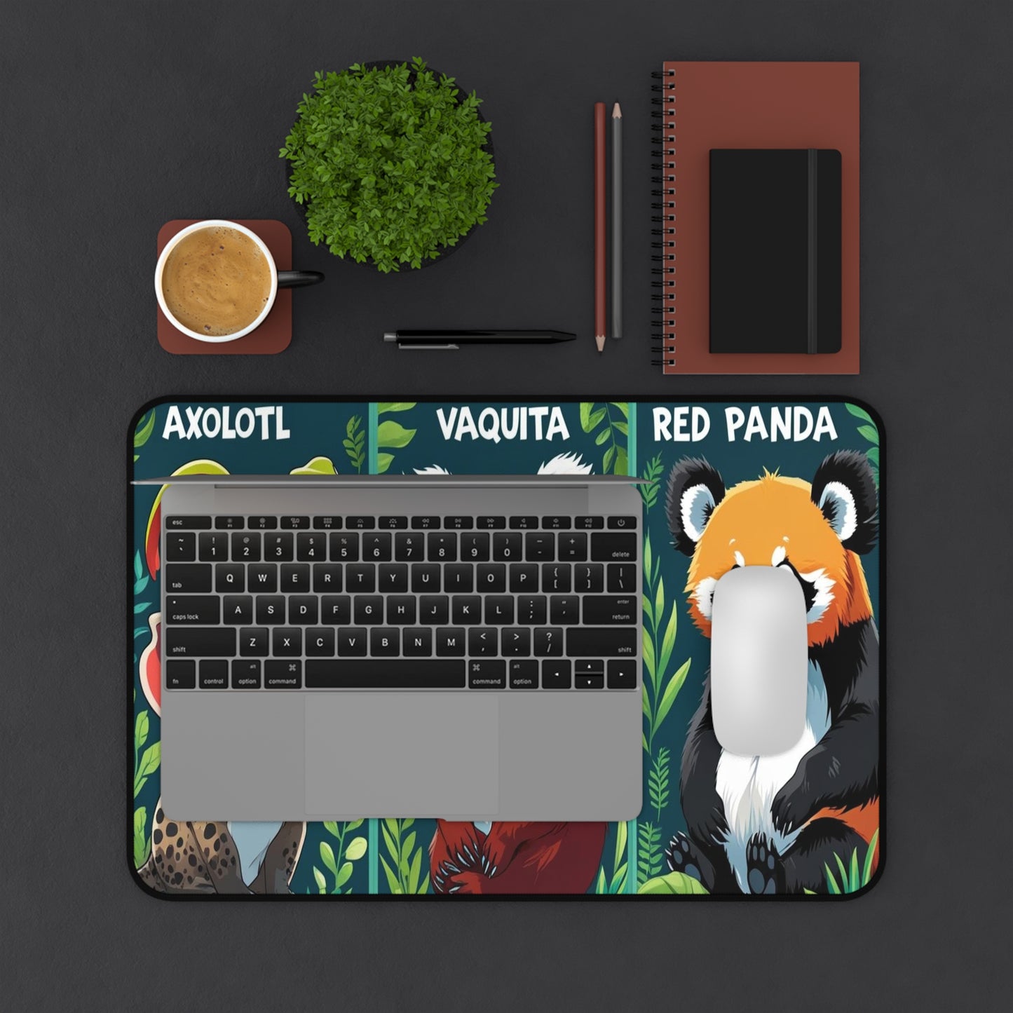 Back to School Inspirational Desk Mats