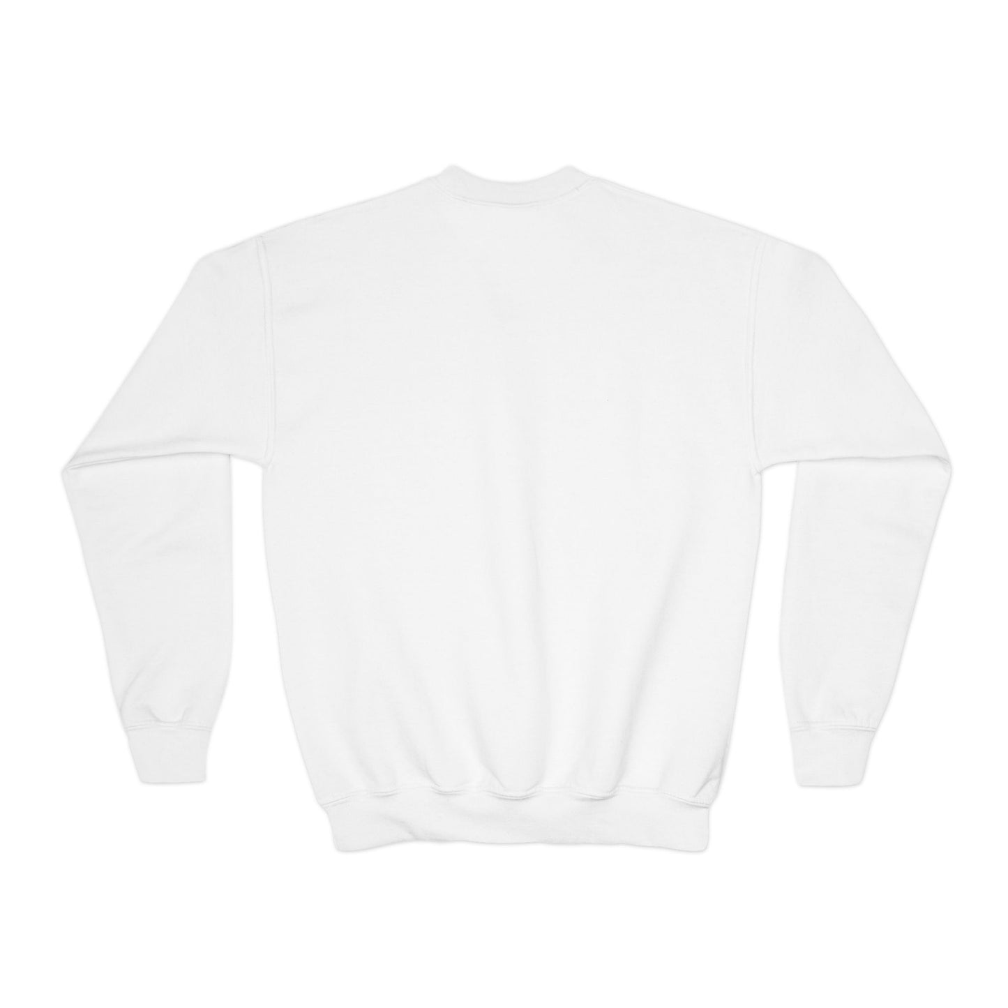 Initiation Protocol Sweatshirt for Back to School