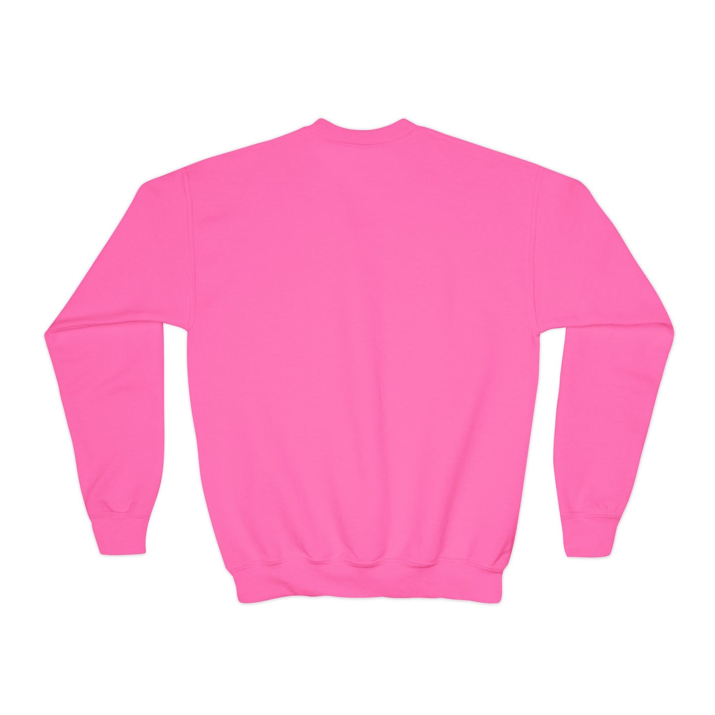 Youth Crewneck Sweatshirt with Fun Animal Design, Cozy Jumper for Kids, Perfect Gift for Birthdays, Holidays, & Everyday Wear