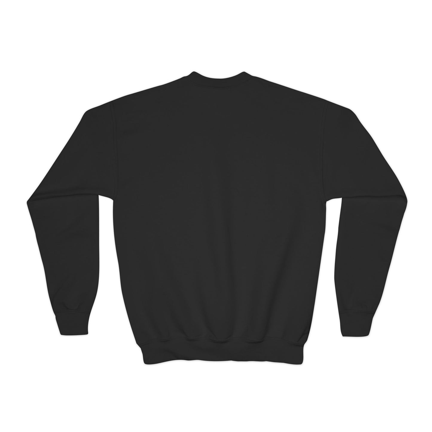 Initiation Protocol Sweatshirt for Back to School
